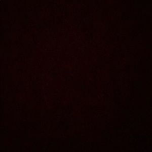 Meet your Posher, Samuel